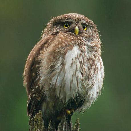 Skvk - Space Wallpaper Collection - HD Quality