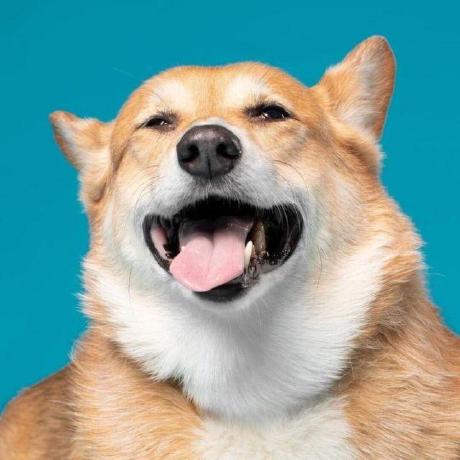 Psyling Bin Ling Github - Classic Ultra HD Light Backgrounds | Free Download