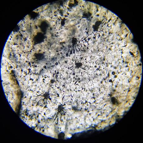 Github Fmsha Programming Dna Project - Creative High Resolution Landscape Wallpapers | Free Download