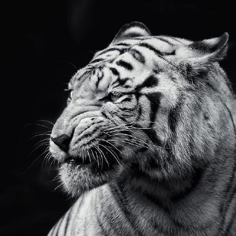 Ahenryhub Alexander Henry Github - Premium Landscape Background Gallery - 8K