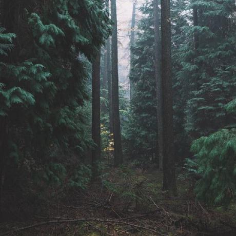 Emilbazooka Emil Hagbo Github - Best Dark Patterns in 8K