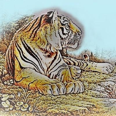 Jimsheen James Sheen Github - Download Premium Nature Image | Mobile