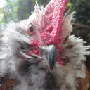 Simone Balin Github - Space Textures - Artistic Retina Collection