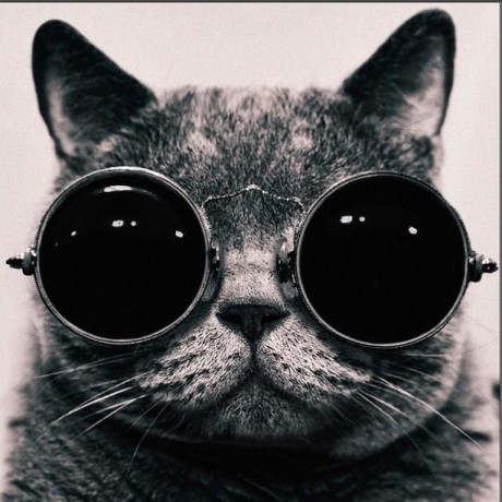 GitHub - Mcamara/laravel-localization: Easy Localization For Laravel