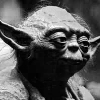 Showcase Joz Joz Github - Premium Vintage Image Gallery - High Resolution