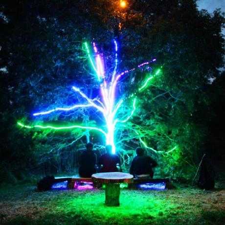 Contributors рџ ё