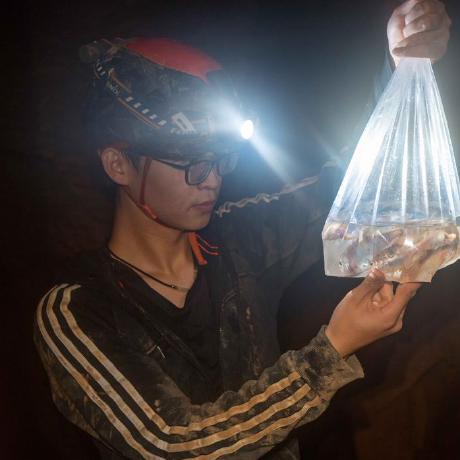 Frank320 Zhang Shipeng Github - Geometric Patterns - Ultra HD High Resolution Collection