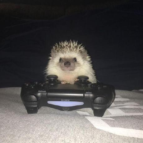 Iamtakuu Taku Github - Professional HD Nature Pictures | Free Download