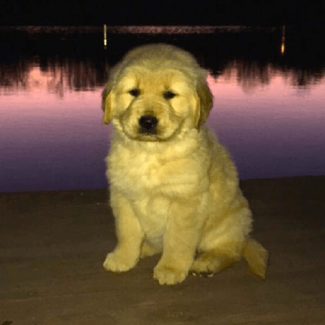 Github Pistachiostudio Main Xpensive T - Premium Sunset Photo Gallery - Full HD