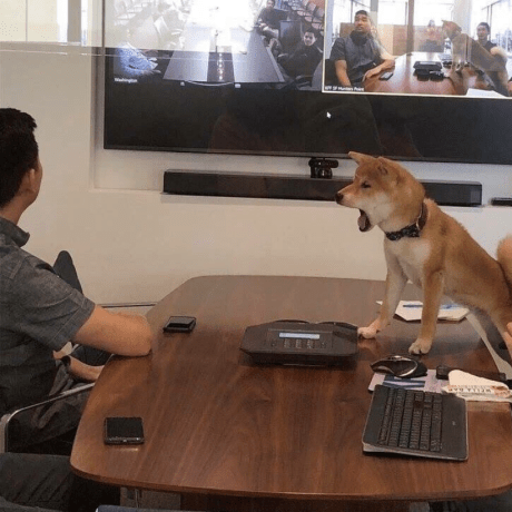 Github Upadhayay Upadhayay Github Io - Light Backgrounds - Premium High Resolution Collection