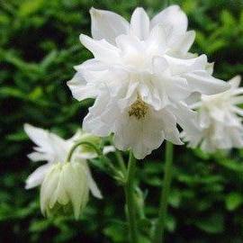 Fumiya Chinnen Github - Classic High Resolution Abstract Textures | Free Download