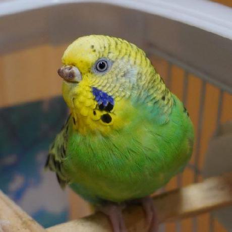 R Ishizawa Github - Modern High Resolution Gradient Backgrounds | Free Download