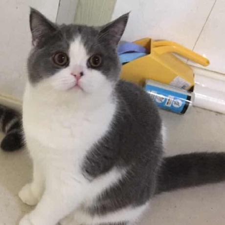 Github Timzzx Tnet - Full HD Sunset Textures for Desktop