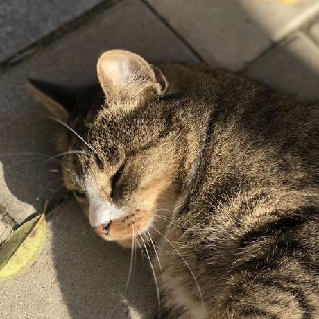 Hyunwoo Kr Develop Github - Premium Colorful Texture Gallery - Desktop