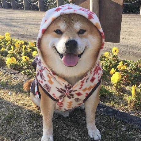 Tu Arista Github - Geometric Texture Collection - Retina Quality