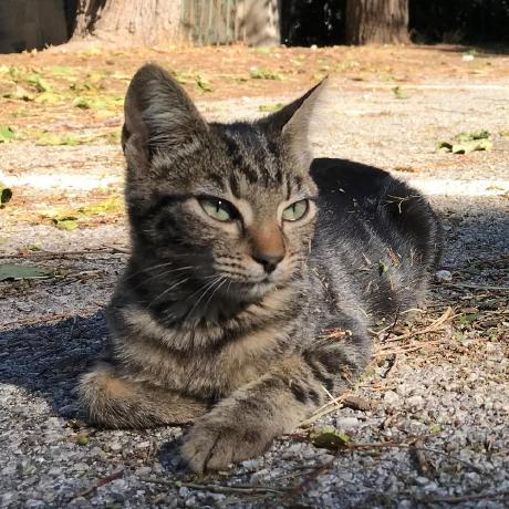 Kohei Fukuoka Github - Incredible Mountain Wallpaper - Ultra HD