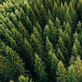 Mt Code Matt Github - Gorgeous Retina Minimal Backgrounds | Free Download