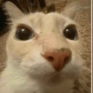 Educaba123 Eduardocaballero123 Github - Ultra HD Landscape Design - Desktop