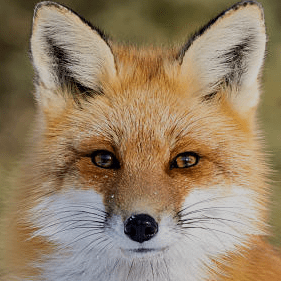 Mlisowski001 Micha Lisowski Github - Best Colorful Wallpapers in Full HD