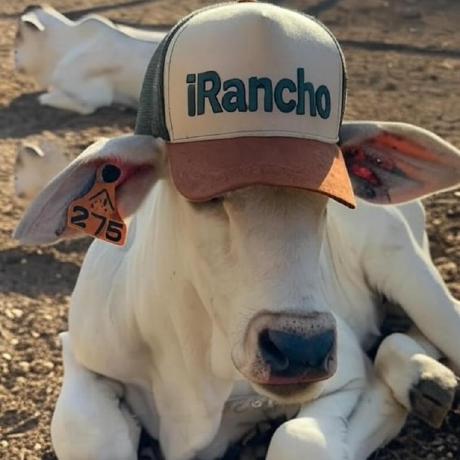 Github Brenodanyel Mta Launcher - Desktop Sunset Patterns for Desktop