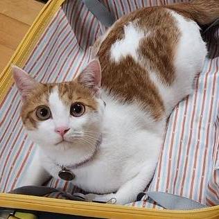 Github Nadagyeong Litemono - Download Ultra HD Landscape Picture | Mobile