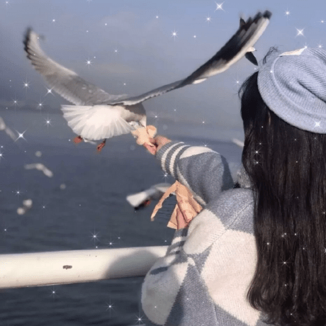 Selena60635 Selena Github - Beautiful Colorful Photo - High Resolution