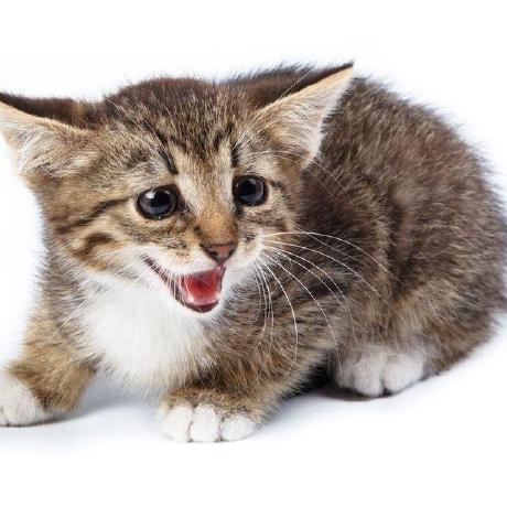 Github Reita0028 Kittens - Artistic Geometric Wallpaper - 4K