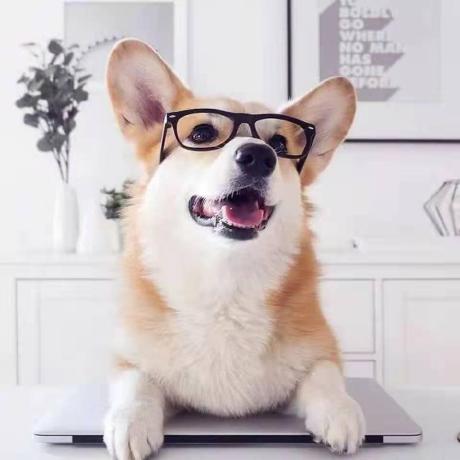 Team Flaming Corgis Github - Retina Mountain Backgrounds for Desktop