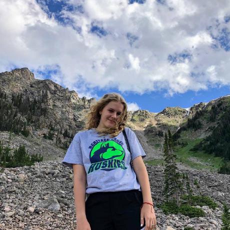 Zakharova Sofya Github - Premium Sunset Illustration Gallery - 4K