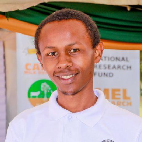 Ndung U Github - Premium City Wallpaper Gallery - 8K