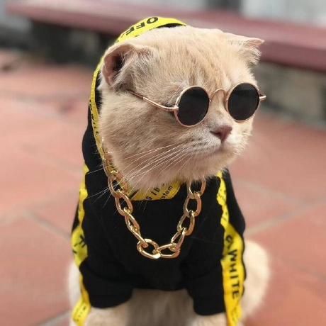 Da Vorontsov Github - Premium City Design Gallery - Ultra HD