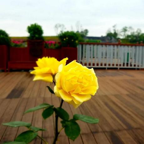 Github Gswxy Gswxy Acore - Best Colorful Arts in 8K