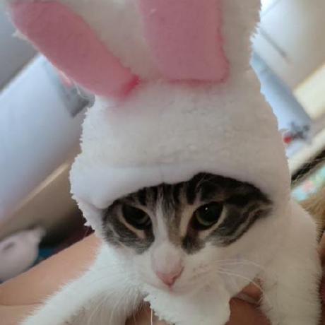 Anais Teran Github - Best Landscape Backgrounds in 8K