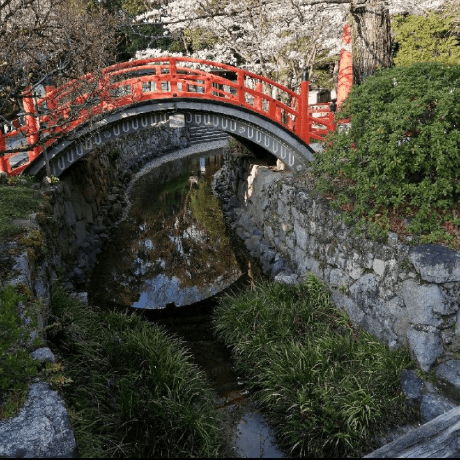 Kawaguchi880 Github - Best Gradient Images in High Resolution