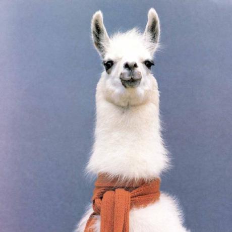 Alinto Github - Mobile Space Textures for Desktop