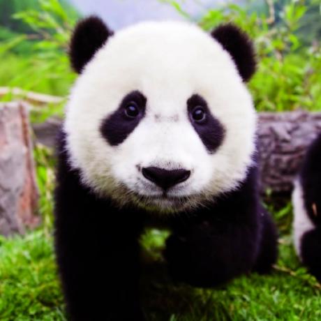 Sabrinaerisaaa Sabrina Github - Download Artistic Mountain Texture | Ultra HD