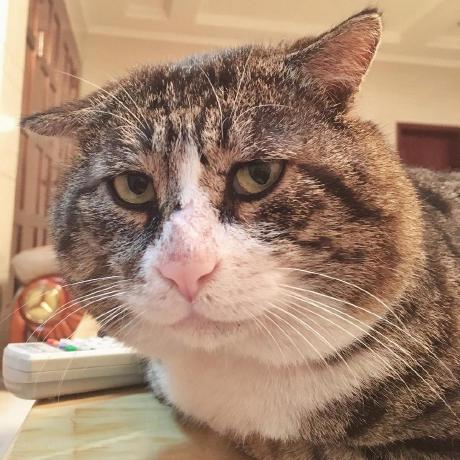 Andruxa Smirnov Github - Beautiful Mountain Art - HD