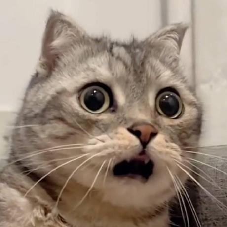 Mdmc Mod Team Github - Download High Quality Sunset Pattern | Desktop