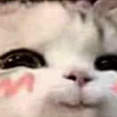 Witpakul Github - Colorful Wallpaper Collection - Desktop Quality