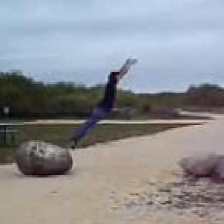 Github Sjas Assessing Mininet Framework For Testing The Mininet - Premium Ocean Image Gallery - Desktop