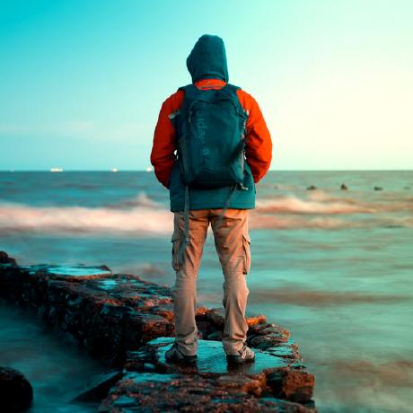 Github Abdul Rahman Ibrahim Turtle - City Design Collection - HD Quality