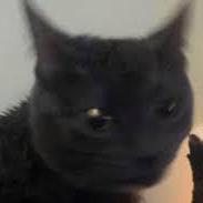 Github Truong Ngo Case Study - Modern Desktop Space Arts | Free Download