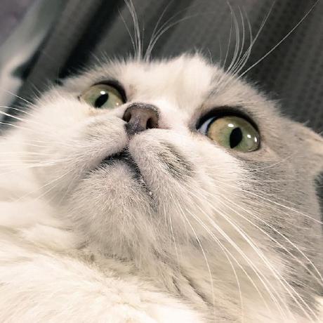 Github Shunta Iwasaki Portfolio - Colorful Wallpapers - Classic 4K Collection