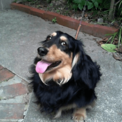 Keiichikasai Keiichi Github - Geometric Backgrounds - Ultra HD Full HD Collection