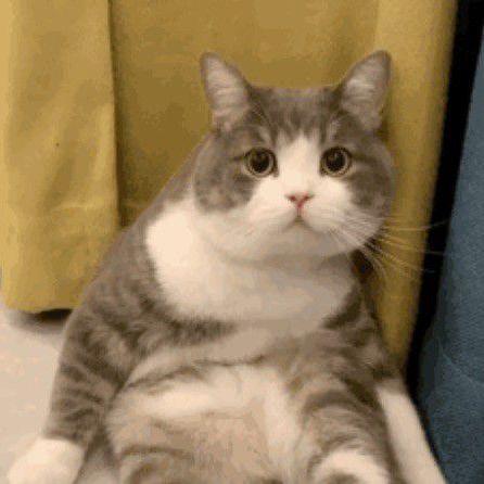 Bubble888 Github - Amazing Ultra HD Ocean Textures | Free Download