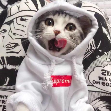 Github Nonebot Nonebot Onebot Python Qq - Best Gradient Backgrounds in Full HD