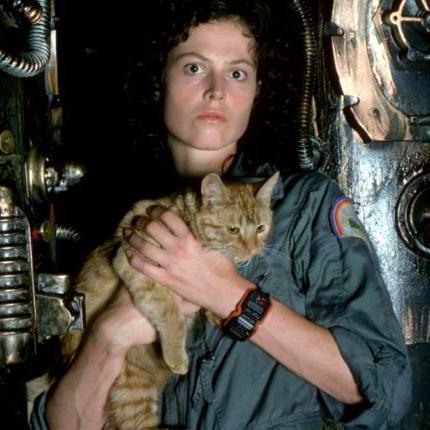 Nostromo Bv Github - Mountain Photo Collection - 8K Quality