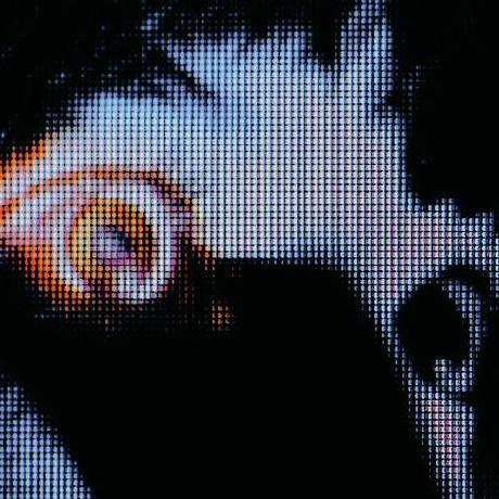 Github Iboxz Portfolio - Artistic HD Nature Illustrations | Free Download