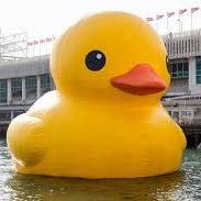 Drewgalowaydev Drew Galloway Github - Light Photos - Artistic 4K Collection