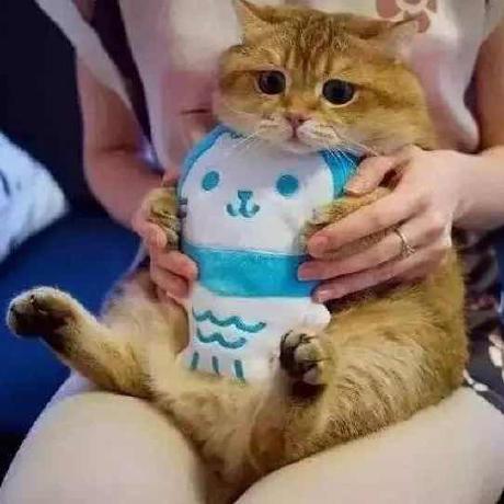 Github Sysuexam Sysu Exam Sysu - Mobile Nature Backgrounds for Desktop